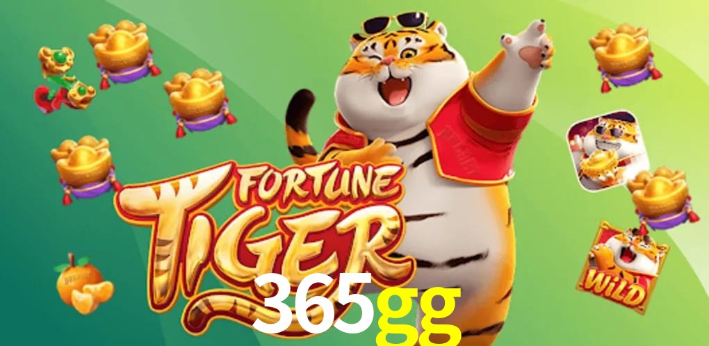 Experiência VIP 365gg